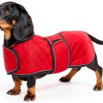 Geyecete Waterproof Dog Coat Dachshund Windproof Fleece-0