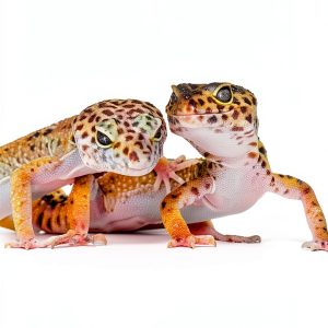 Reptile Care Guide English Kindle eBook Pet Owners Biology-0
