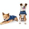 Signature Insulated Dog Coat Cold Weather Duck Canvas-4
