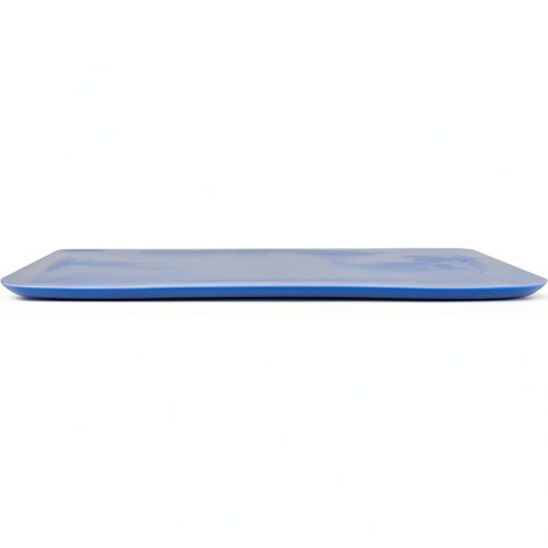 GSC International Plastisol Dissection Pad Biology Classroom-0
