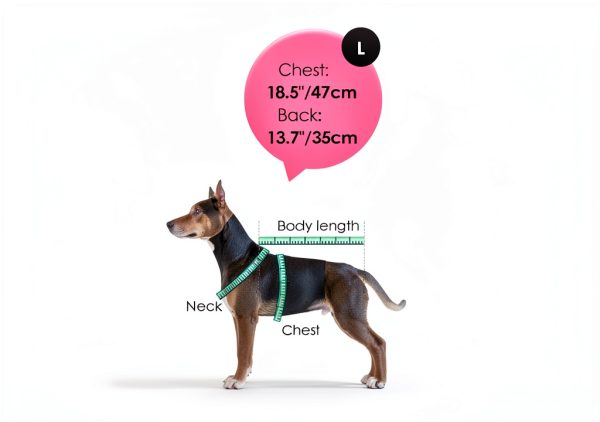 AOFITEE Dog Winter Coat Waterproof Windproof Small Dogs-3