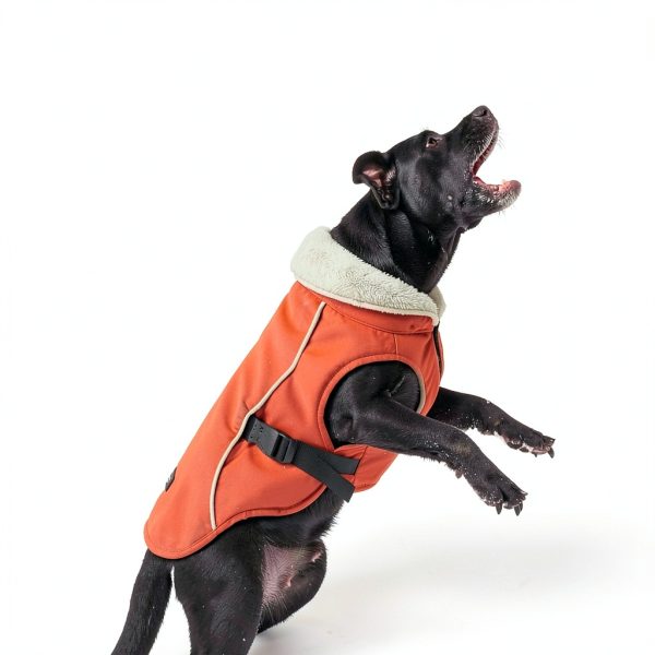 EMUST Dog Winter Coat Waterproof Windproof Fleece Lined-5