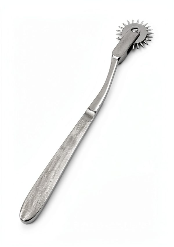 OdontoMed2011 Wartenberg Pinwheel Stainless Steel Medical-1