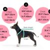AOFITEE Dog Winter Coat Fleece Lined Water Resistant-3