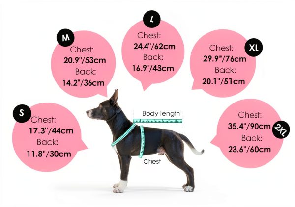 AOFITEE Dog Winter Coat Fleece Lined Water Resistant-3