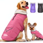 iBuddy Dog Winter Coat Fleece Lined Reflective Waterproof-0