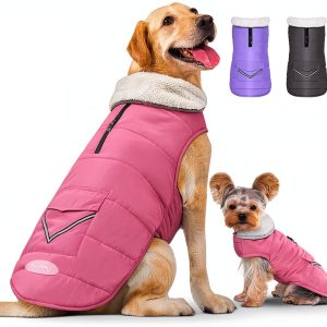 iBuddy Dog Winter Coat Fleece Lined Reflective Waterproof-0