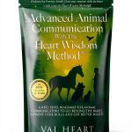 Kindle eBook Animal Care Spirituality Prayer English-0