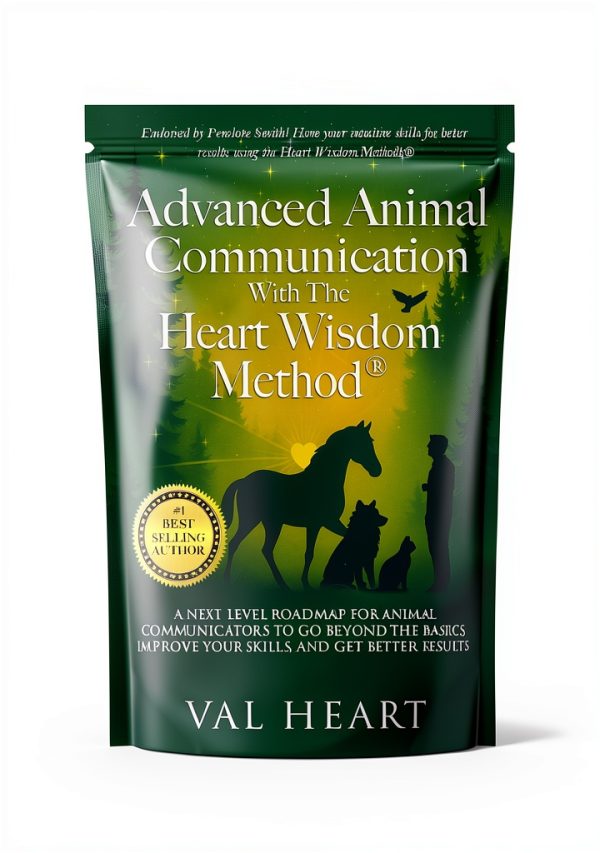 Kindle eBook Animal Care Spirituality Prayer English-0