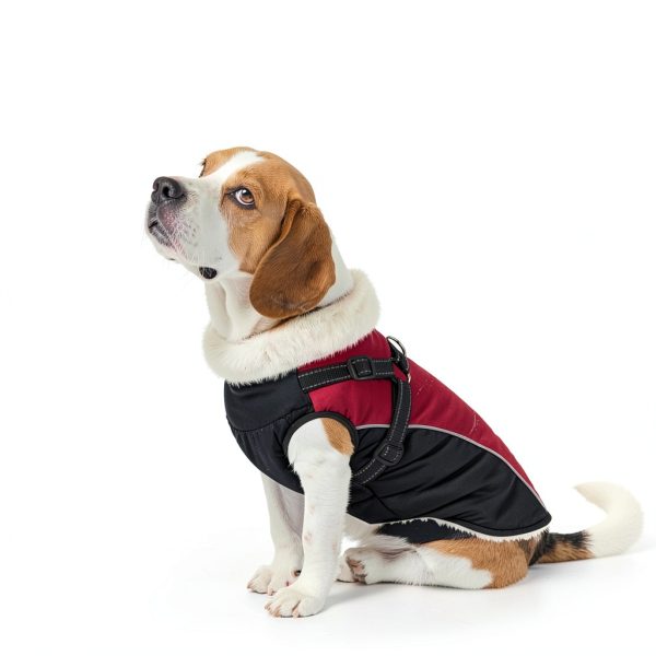 Queenmore Waterproof Dog Jacket with Harness Winter Coat-2