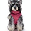 Norbi Dog Coat Harness Winter Jacket Water Repellent Fleece-4