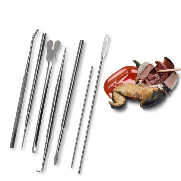 IMED Scientific Dissecting Probe Stainless Steel Lab-6