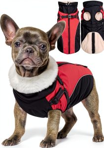 Queenmore Waterproof Dog Jacket with Harness Winter Coat-0