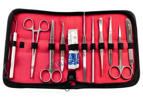 German Stainless Steel Lab Dissection Instruments by Cynamed-3