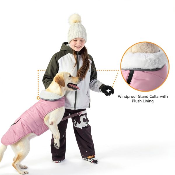 iBuddy Dog Winter Coat Fleece Lined Reflective Waterproof-3
