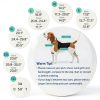 MIGOHI Dog Winter Coat Waterproof Windproof Snowproof-1