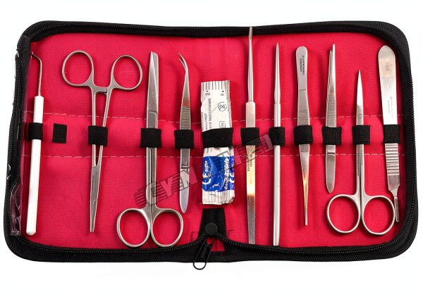 German Stainless Steel Lab Dissection Instruments by Cynamed-1