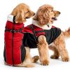 Queenmore Waterproof Dog Jacket with Harness Winter Coat-1