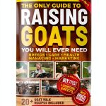 Homestead Mastery Book Animal Husbandry Kindle English-0