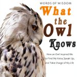 Animal Totems Spirit Guides Kindle Book English Language-0