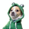VITSOLE Dog Hoodie Fleece Coat Green Frog Elk Design-2