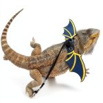 Reptile Care Guide Kindle eBook Pet Owners Amphibian Care-0