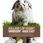 The Rabbit Encyclopedia eBook Pet Care Guide English-0