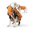MIGOHI Dog Winter Coat Waterproof Windproof Snowproof-6