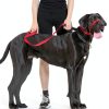 Canny Colossus Giant Breed Dog Head Collar-5