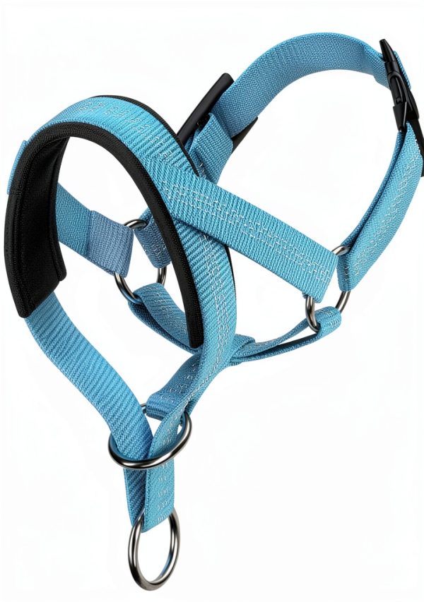 Dog Head Collar by wintchuk Pet Supplies-0