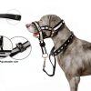 lasuroa Reflective Dog Head Collar Pet Supplies-2