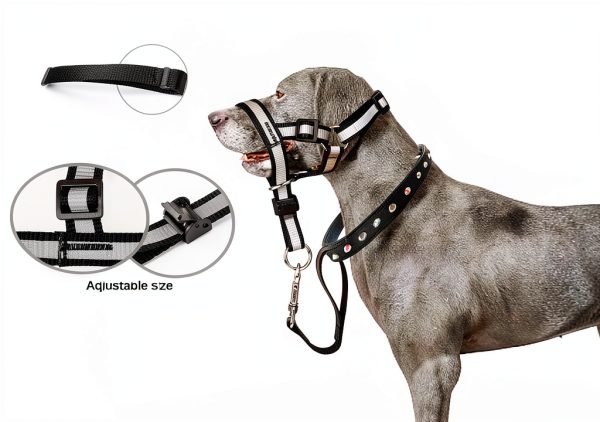 lasuroa Reflective Dog Head Collar Pet Supplies-2