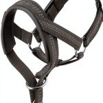Dog Head Collar by wintchuk Pet Supplies-0