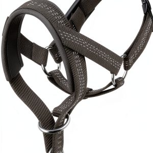 Dog Head Collar by wintchuk Pet Supplies-0