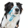 Dog Head Collar by wintchuk Pet Supplies-2