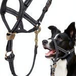 Barkless No Pull Dog Head Collar for Large Dogs-0
