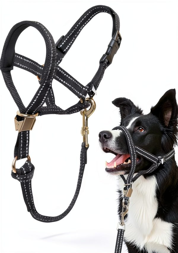 Barkless No Pull Dog Head Collar for Large Dogs-0