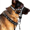 lasuroa Reflective Dog Head Collar Pet Supplies-0
