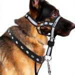 lasuroa Reflective Dog Head Collar Pet Supplies-0