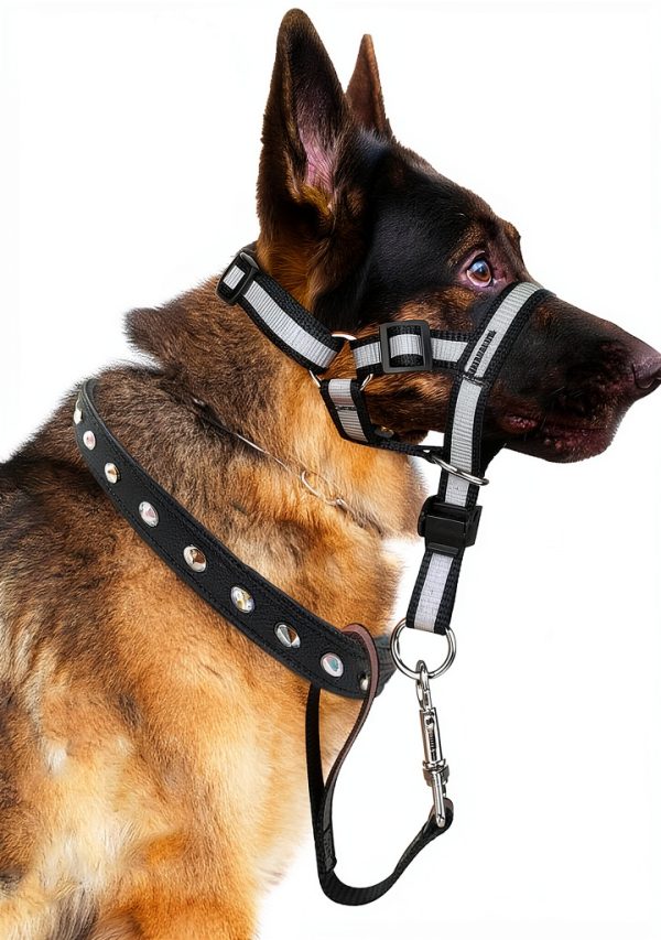 lasuroa Reflective Dog Head Collar Pet Supplies-0