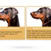 BARKLESS Dog Head Collar Plush Design Pull Control-4