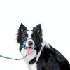 Dog Head Collar by wintchuk Pet Supplies-1