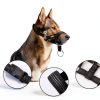Dog Head Collar by wintchuk Pet Supplies-3
