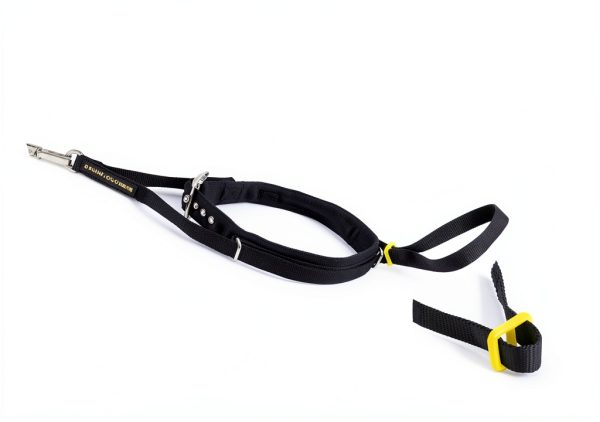 Canny Colossus Giant Breed Dog Head Collar-3