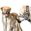 lasuroa Reflective Dog Head Collar Pet Supplies-4