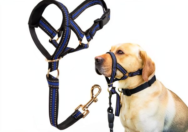 BARKLESS Dog Head Collar Plush Design Pull Control-0