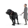 lasuroa Reflective Dog Head Collar Pet Supplies-3