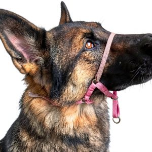 Comfort Trainer Head Halter by Training Unlimited Pet-0