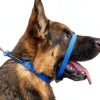Canny Colossus Giant Breed Dog Head Collar-7