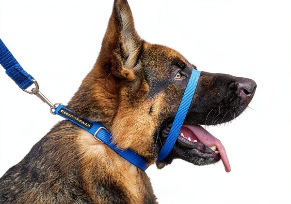 Canny Colossus Giant Breed Dog Head Collar-7